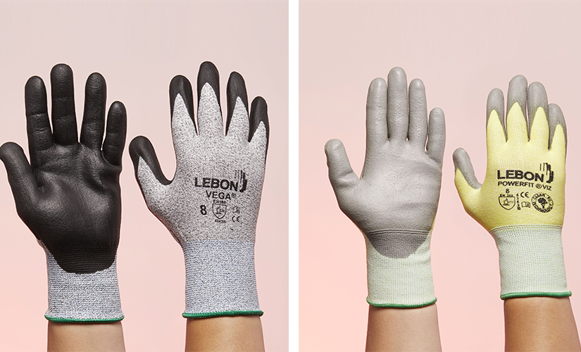 Lebon gants